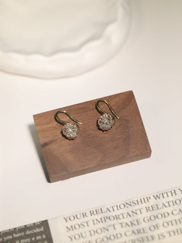 Zirconia Earrings1021